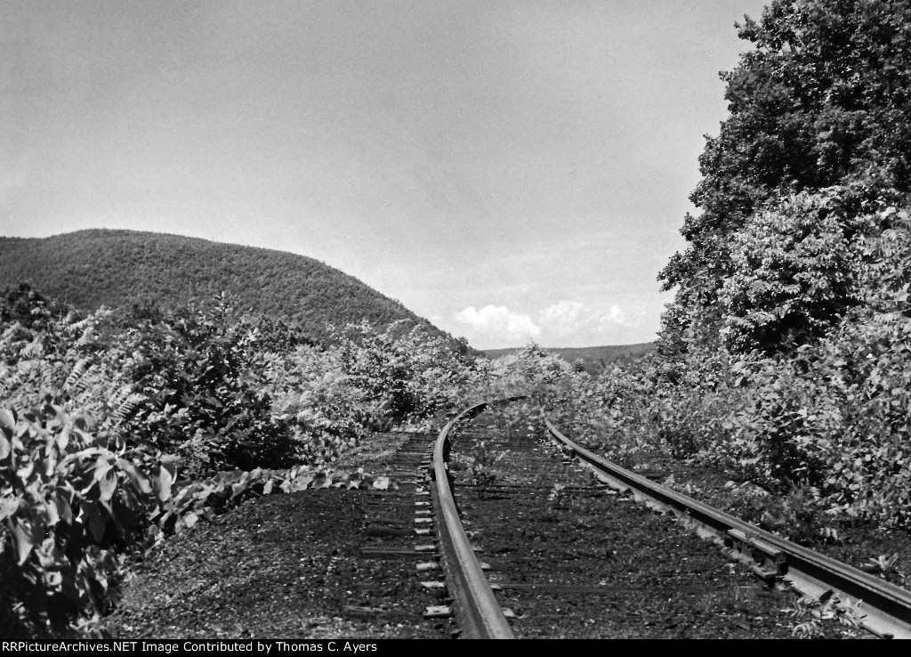 PRR Allegheny Vistas, #1 of 4, c. 1953